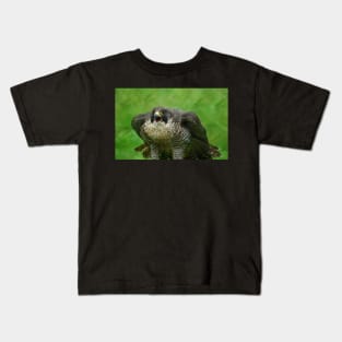 The Peregrine Falcon Kids T-Shirt